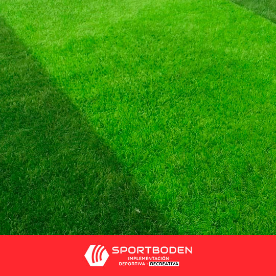 sportboden-implementacion-deportiva-recreativa-productos-grass-artificial-deportivo-recreativo-540x540-09